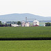 Farm