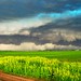 The Thunder Rolls