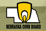 NE Corn