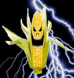 corn