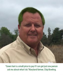 green chip caption